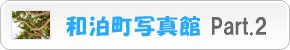 和泊町：写真館【2】