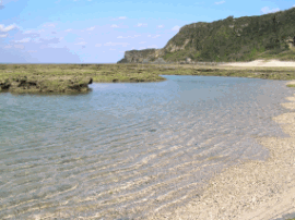 沖泊海岸での海水浴