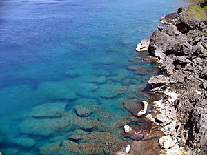 田皆岬からみおろす