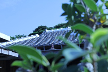 Shimayado 當（あたり）