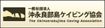 沖永良部島ケイビング協会